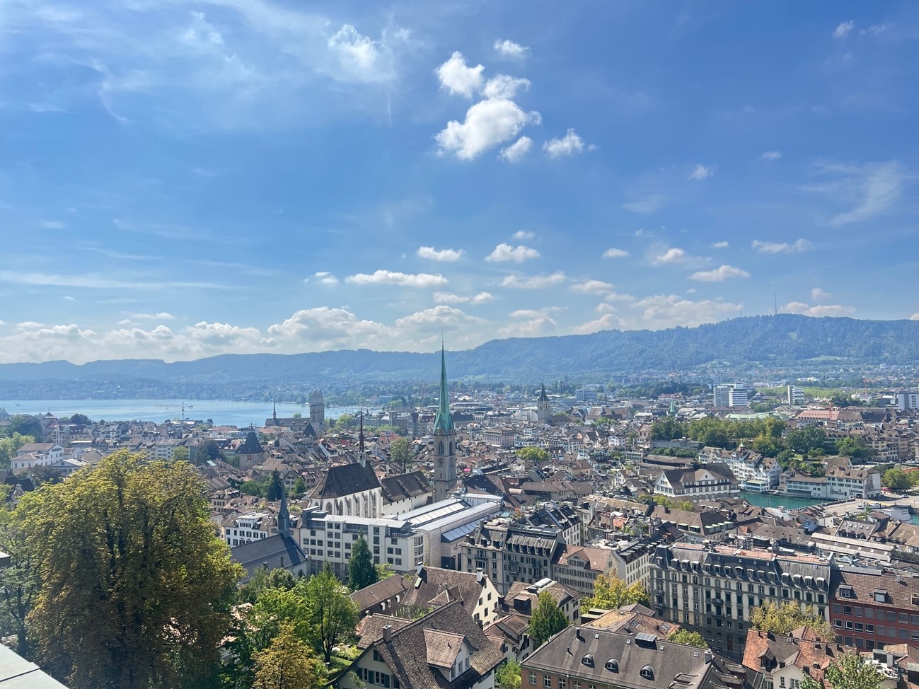 スイス実習日誌 8/29