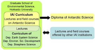 Structure of the IAI Curriculum