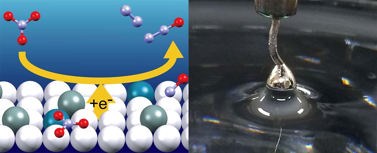 Single Crystalline Electrodes