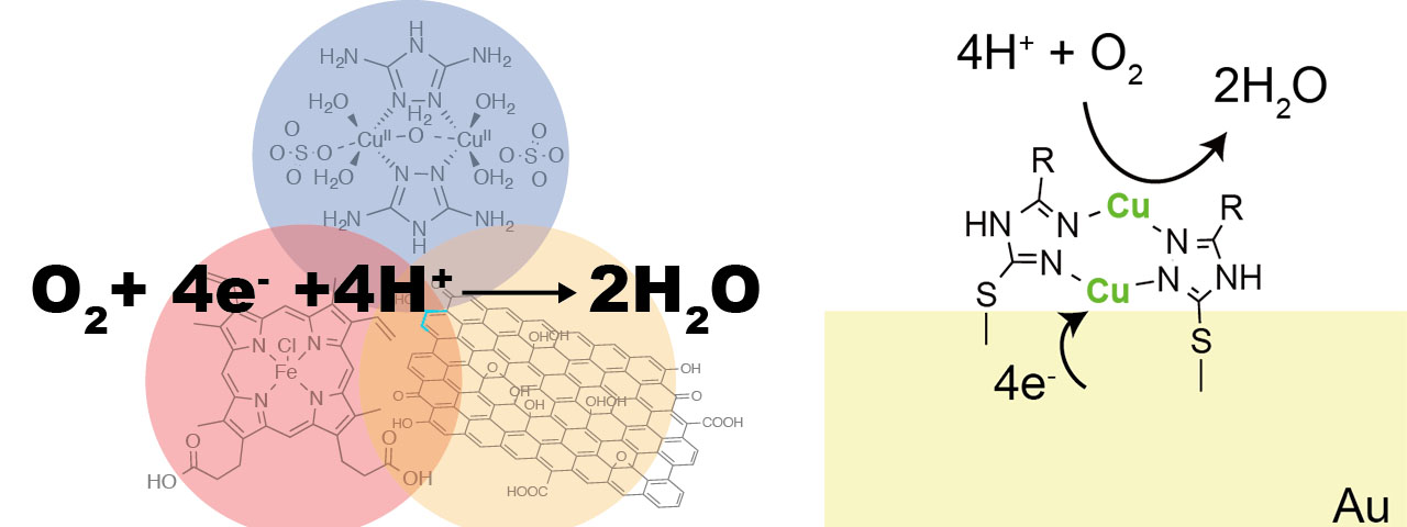 Bio-inspired ORR Catalysts