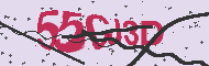 Captcha認証コード