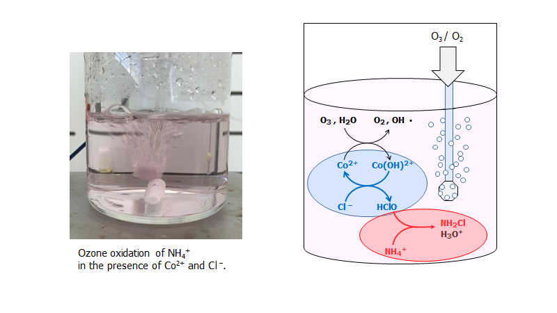 Oxidative decomposition of ammonium ion with ozone in the presence of cobalt ion and choloride ion toward treatment of radioactive liquid waste