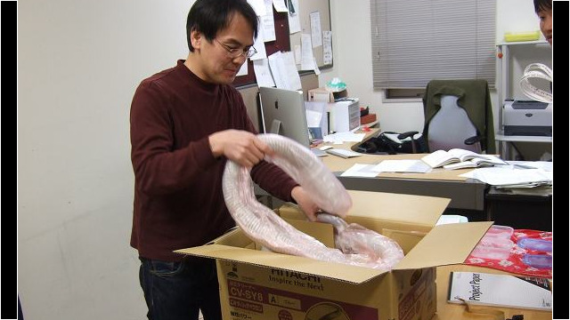 神谷研究室へのプレゼント