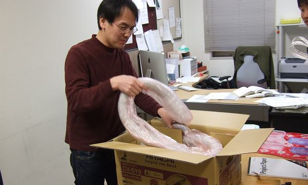 神谷研究室へのプレゼント