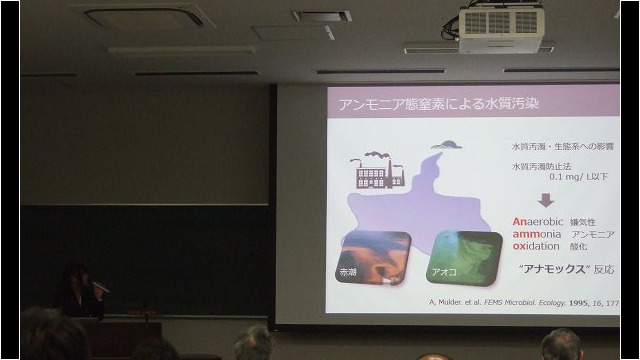 修論発表(齋藤)